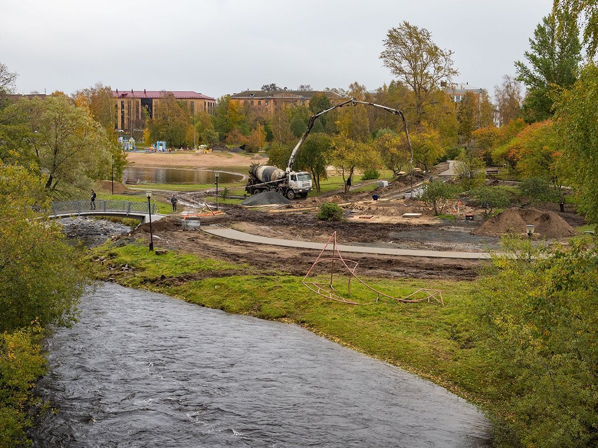 Дизайнерского лосося вывезут с Зарецкого парка в Петрозаводске