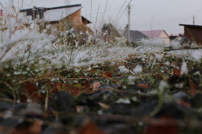 Минусовая температура и гололедица: прогноз погоды на 23 октября