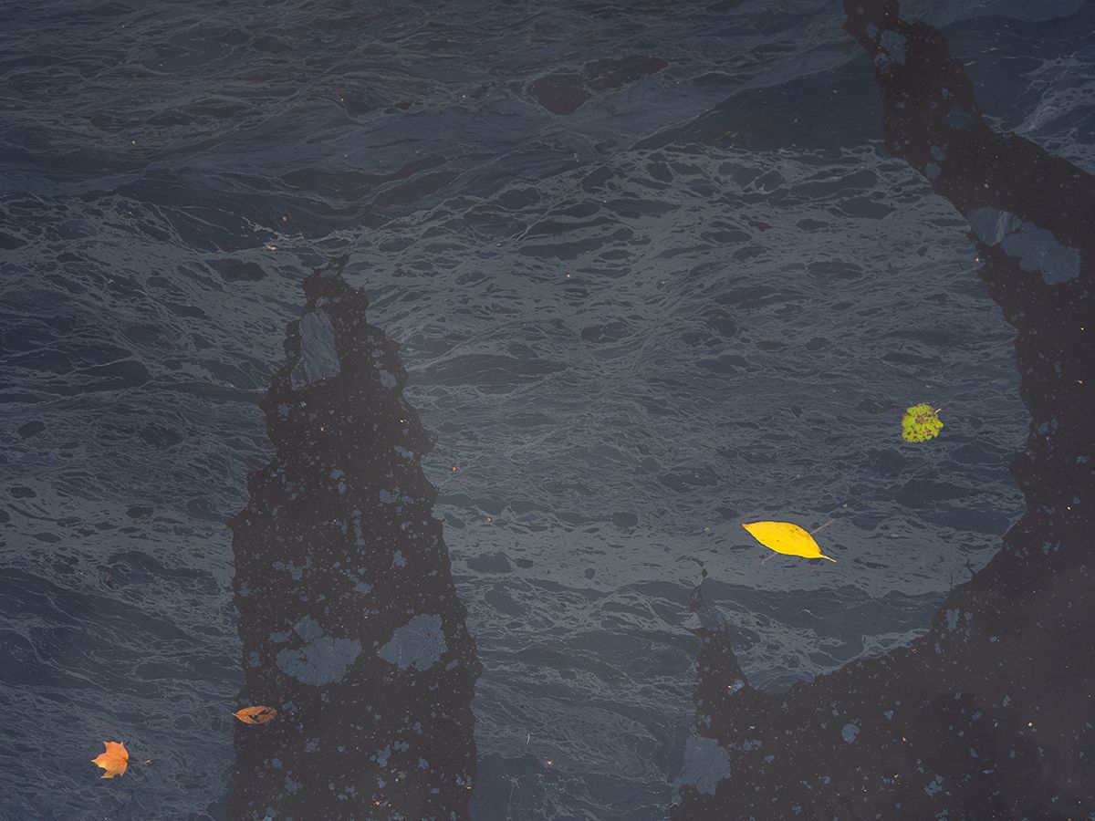 Нефтепродукты спустя несколько дней после обнаружения продолжают стекать в Онежское озеро