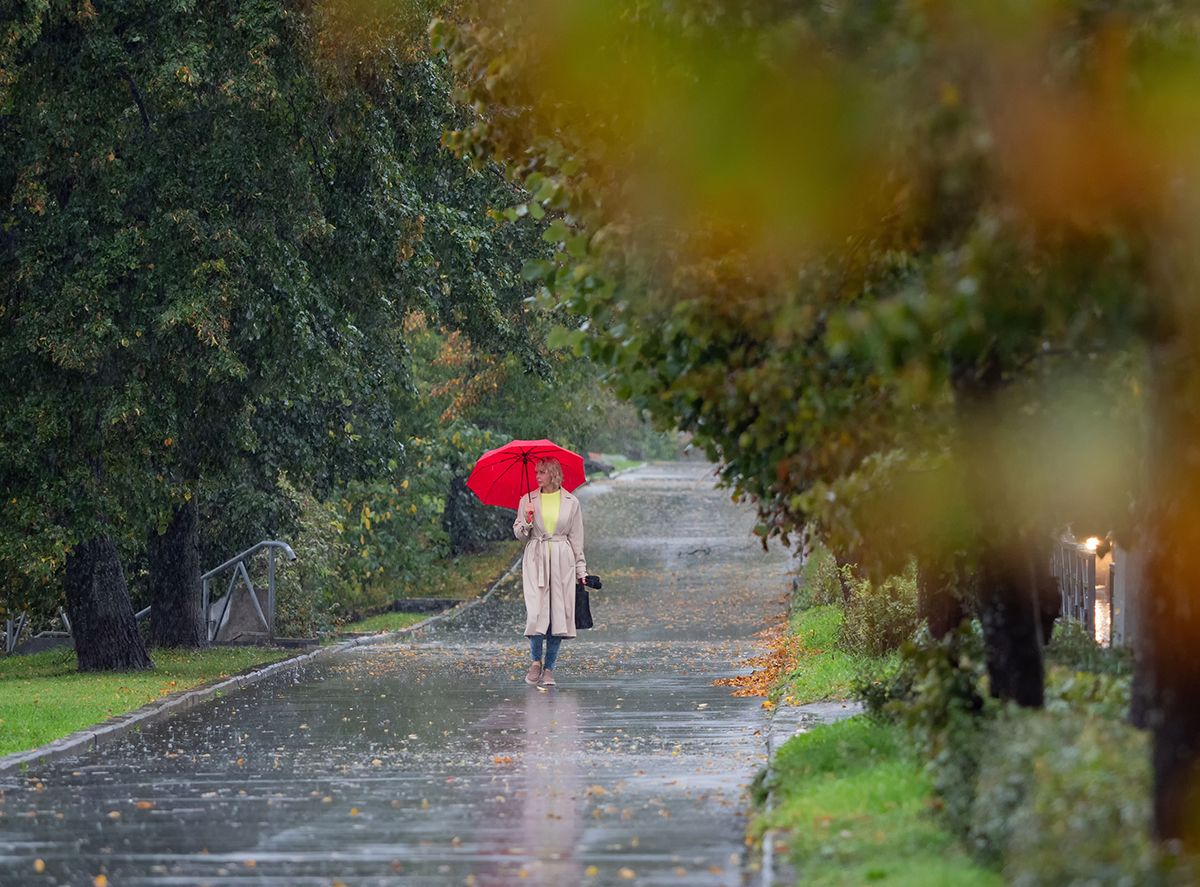 «Не взлетим, так поплаваем». Карельский фотограф прогулялся по утопающему Петрозаводску с камерой