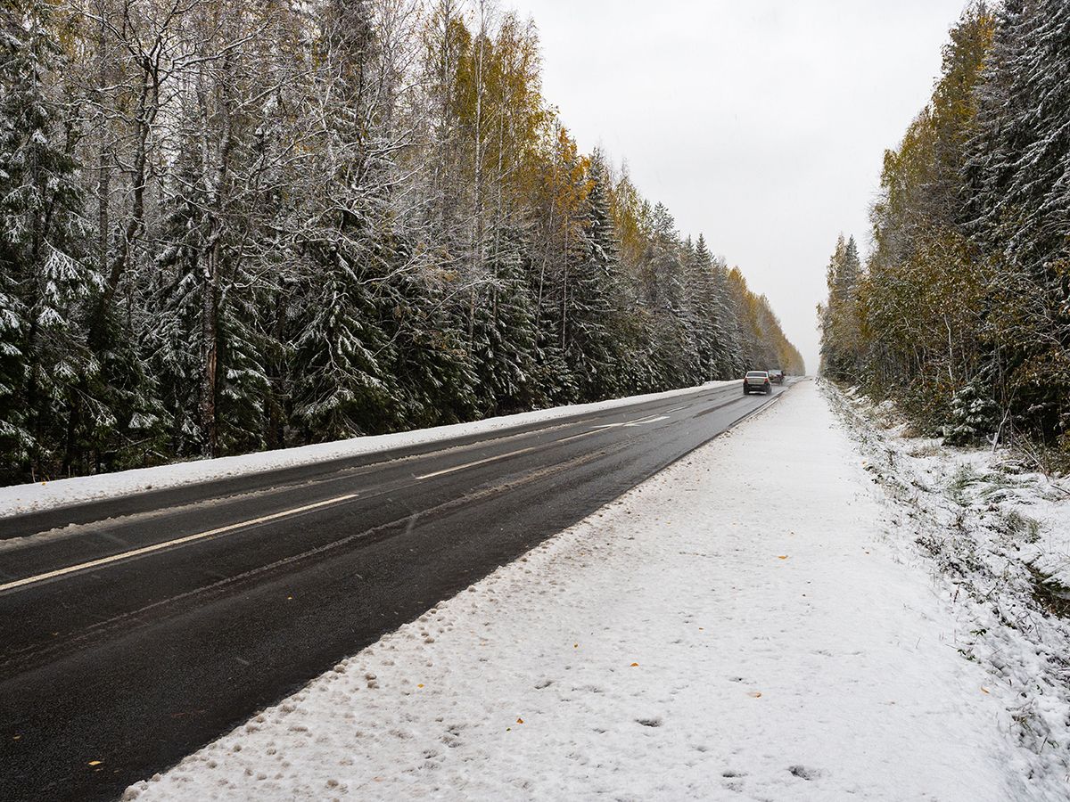 Под Петрозаводском выпал первый снег