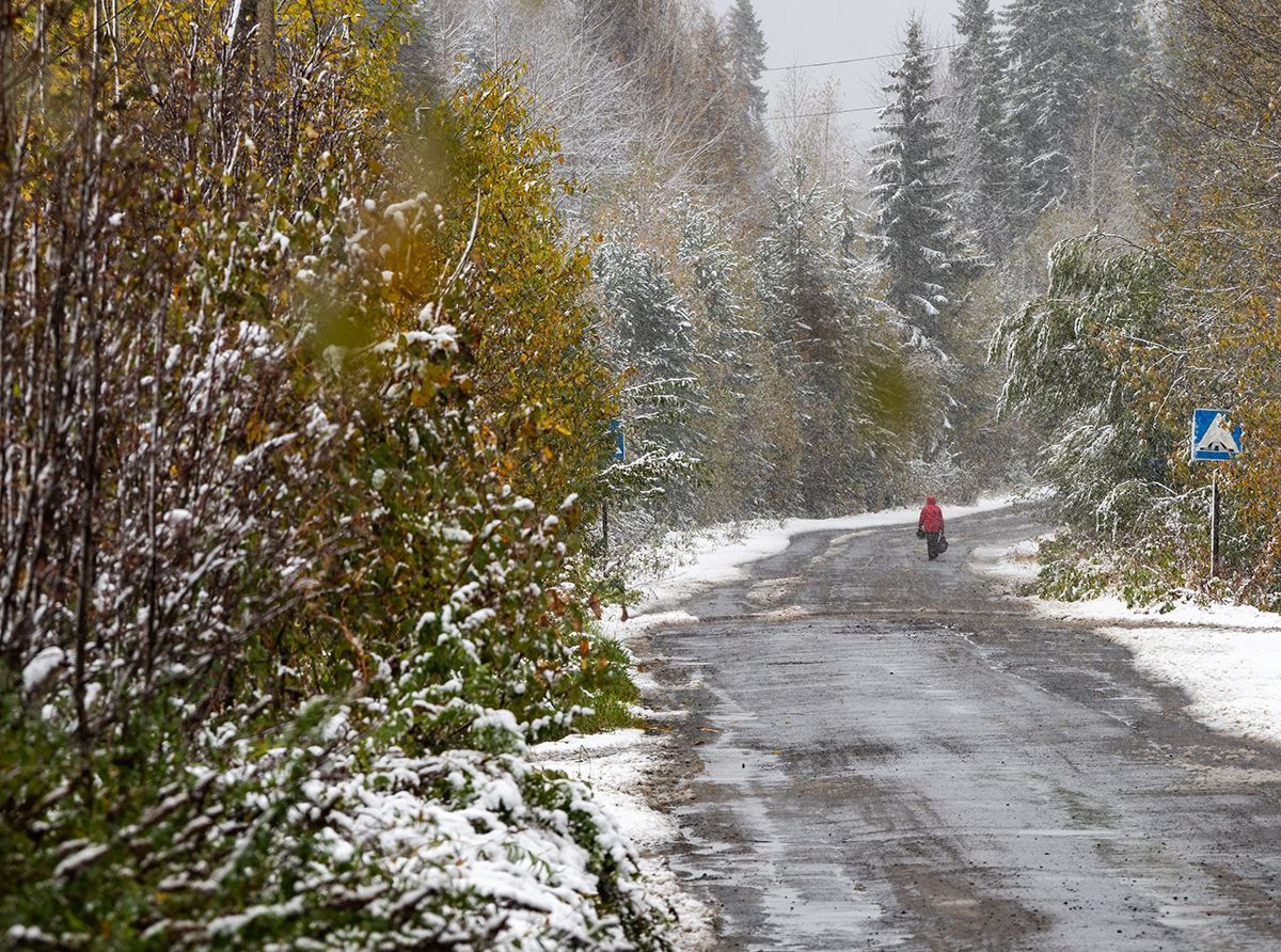 И мокрый снег. Прогноз погоды в Карелии на 11 октября