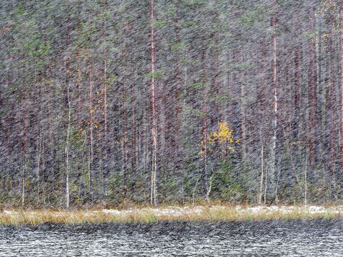 Мокрый снег. Прогноз погоды в Карелии на 19 октября