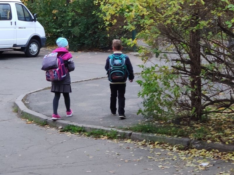 В петрозаводской школе № 10 после утреннего ЧП учеников отправили на дистант