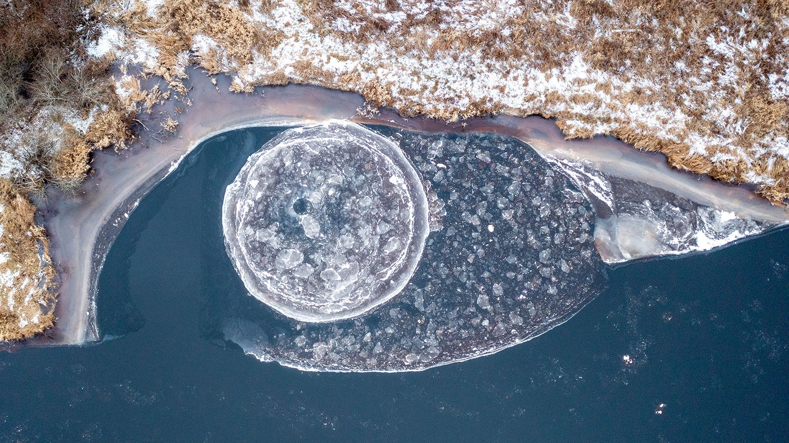 Фото петрозаводчанина Ильи Тимина заняло 3 место на Международном фотоконкурсе «Золотая черепаха»