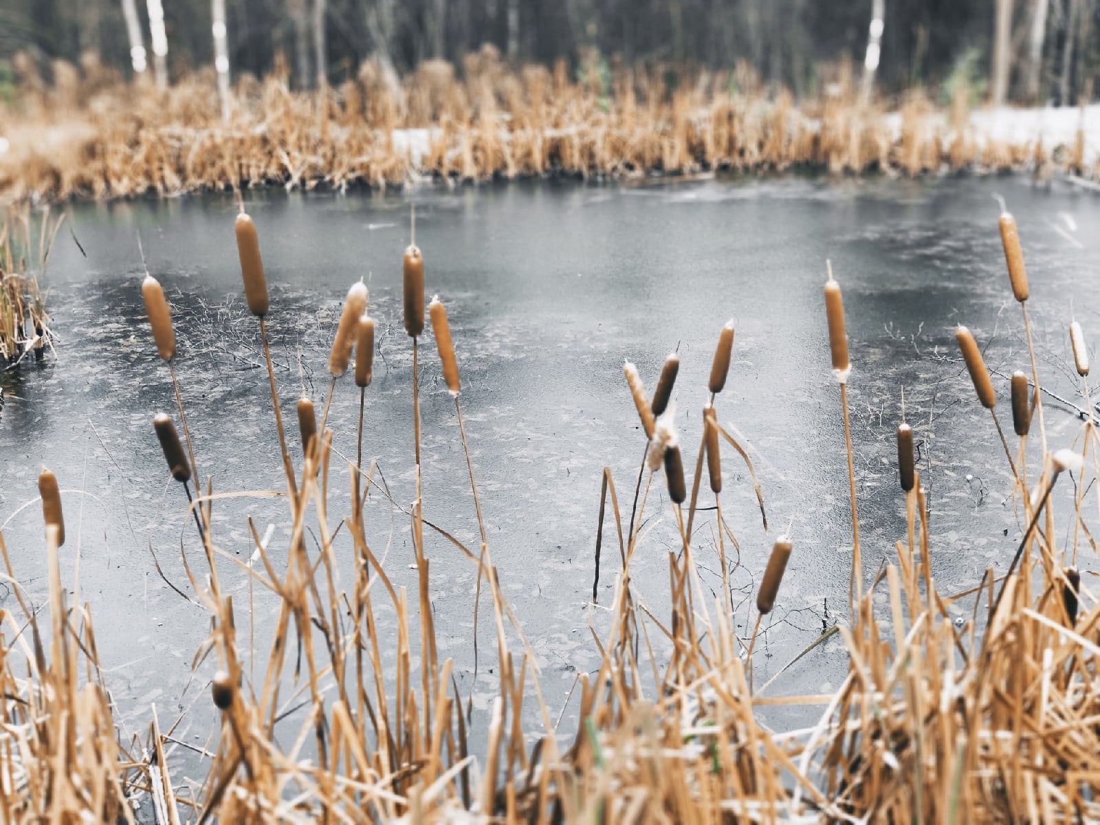 Ночью местами до -13°С: прогноз погоды на 31 октября