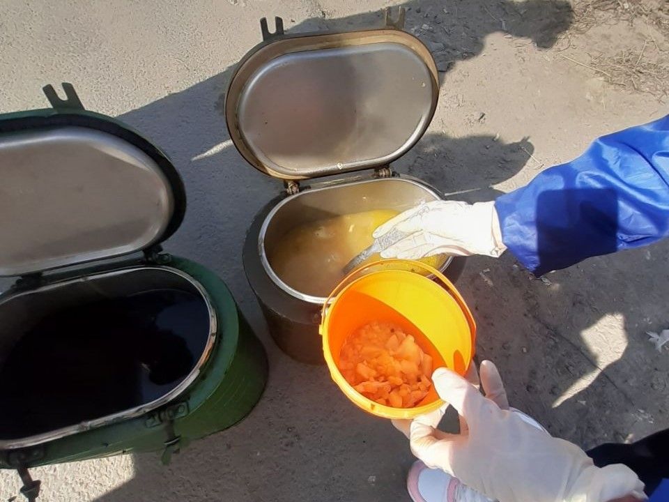 Еще одна точка кормления бездомных открывается в Петрозаводске