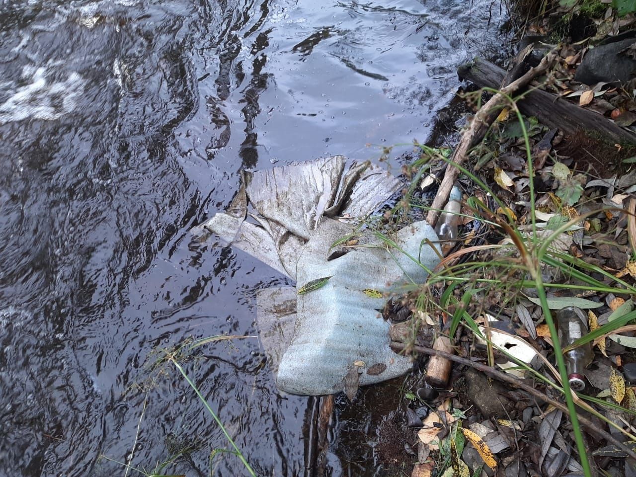 Минприроды Карелии: предварительно установлен источник масляных пятен в реке Лососинке