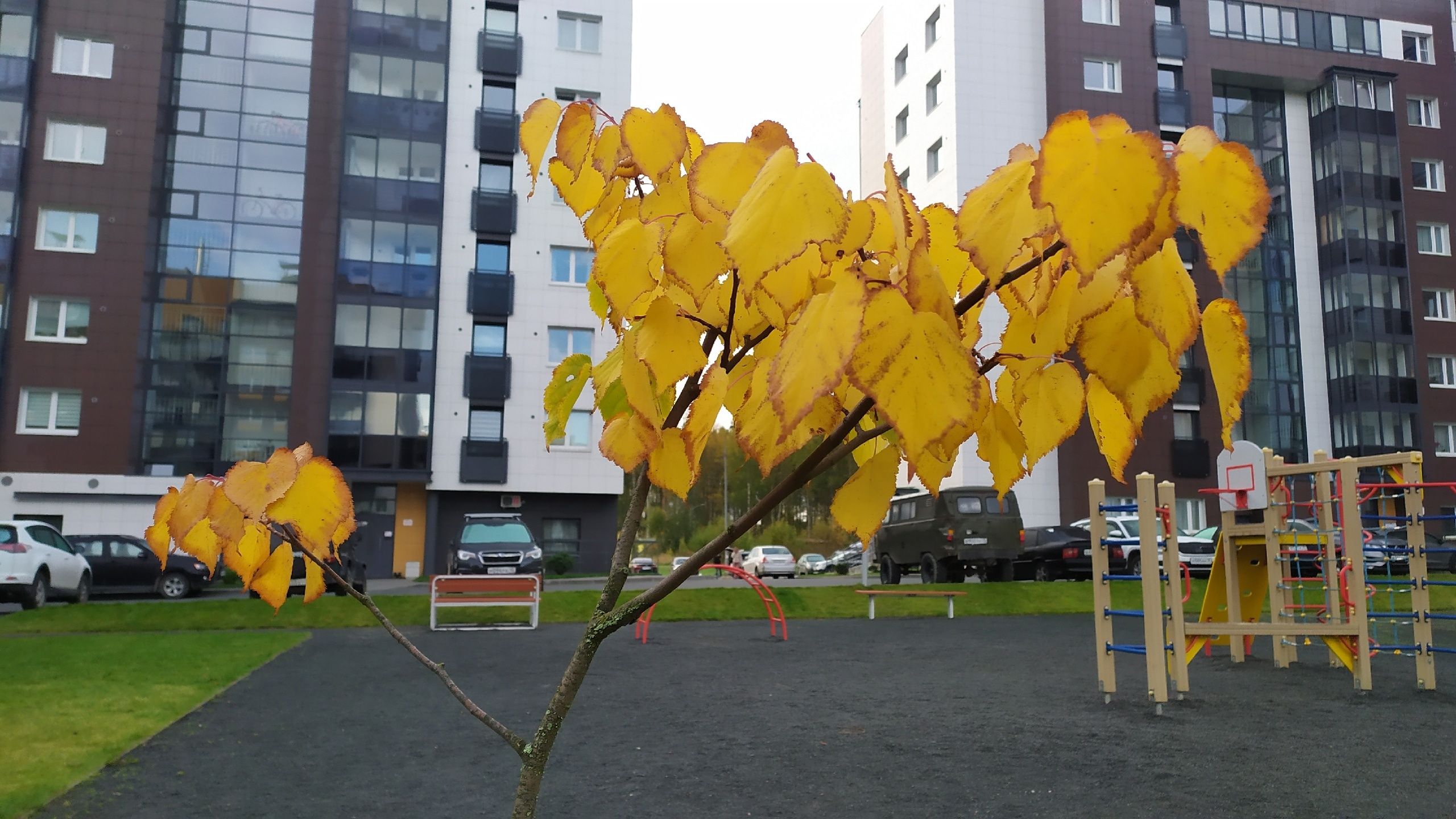 Сентябрь 2023 года стал самым теплым за последние 157 лет