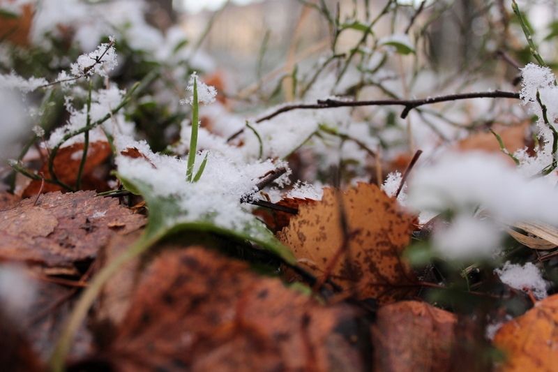 Мокрый снег и не выше +5°С — прогноз погоды на 18 октября