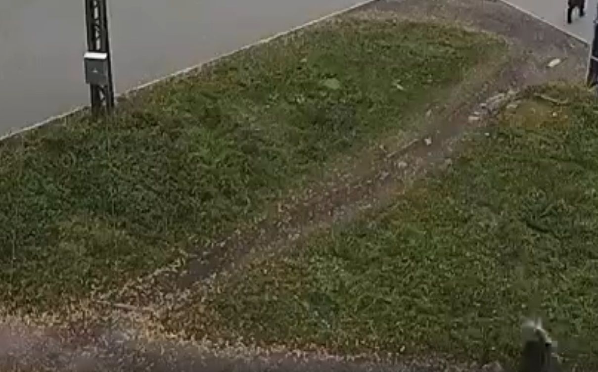 В Петрозаводске пакет с водой сбросили с пятого этажа на голову женщины