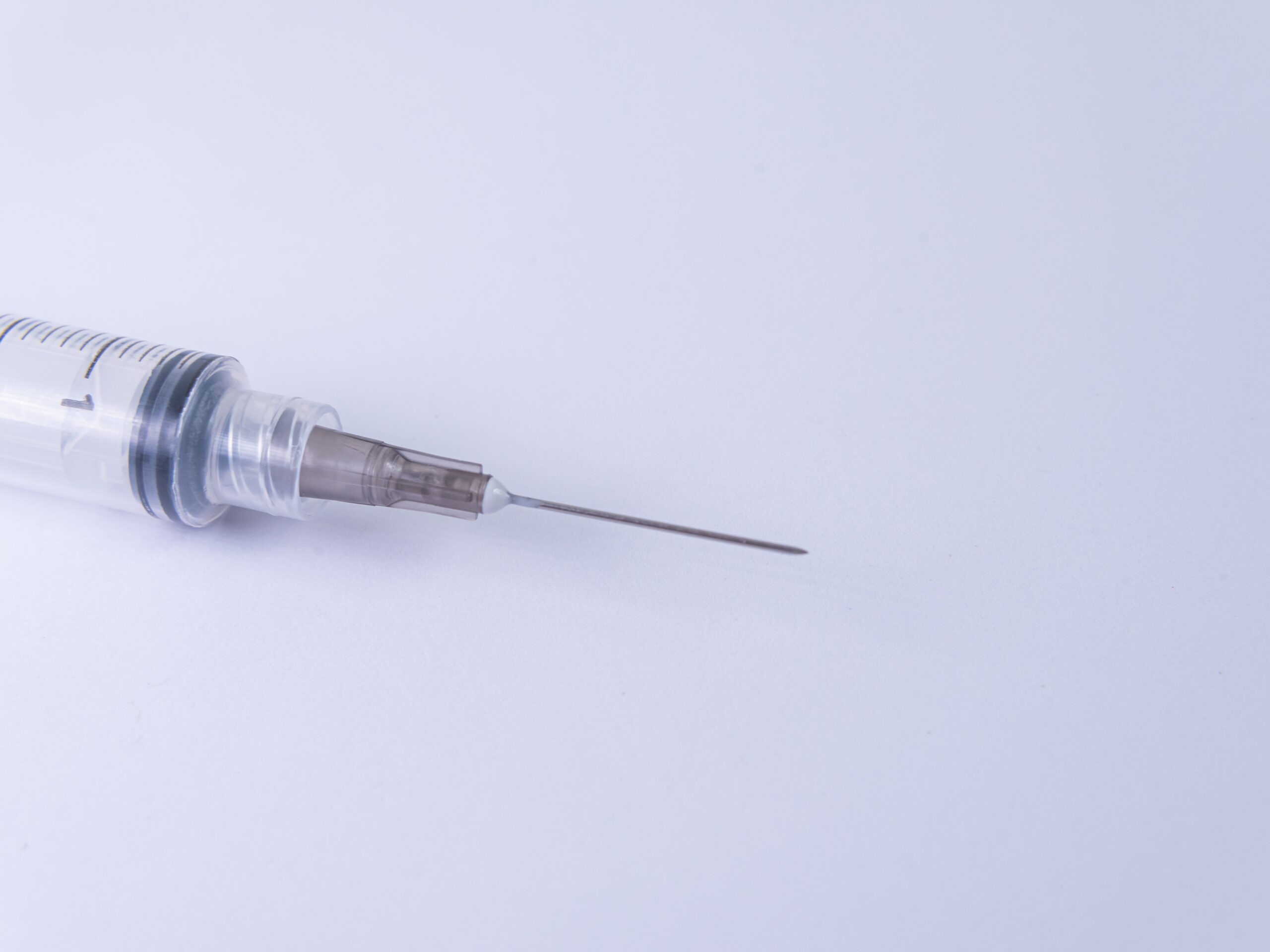 Собаку в Петрозаводске убили на глазах детей