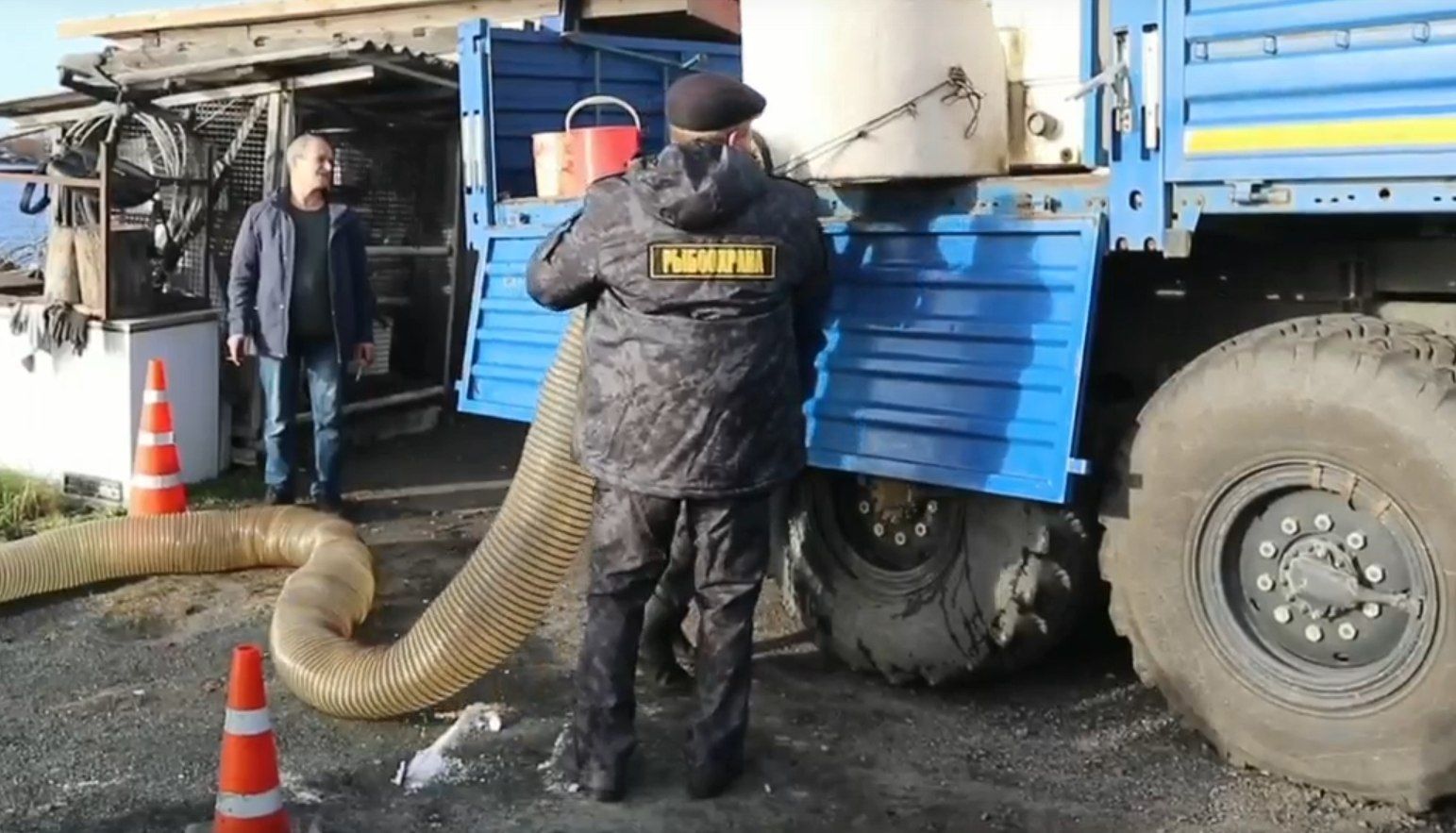 Полторы тысячи молодых лососей выпустили в реку Кемь