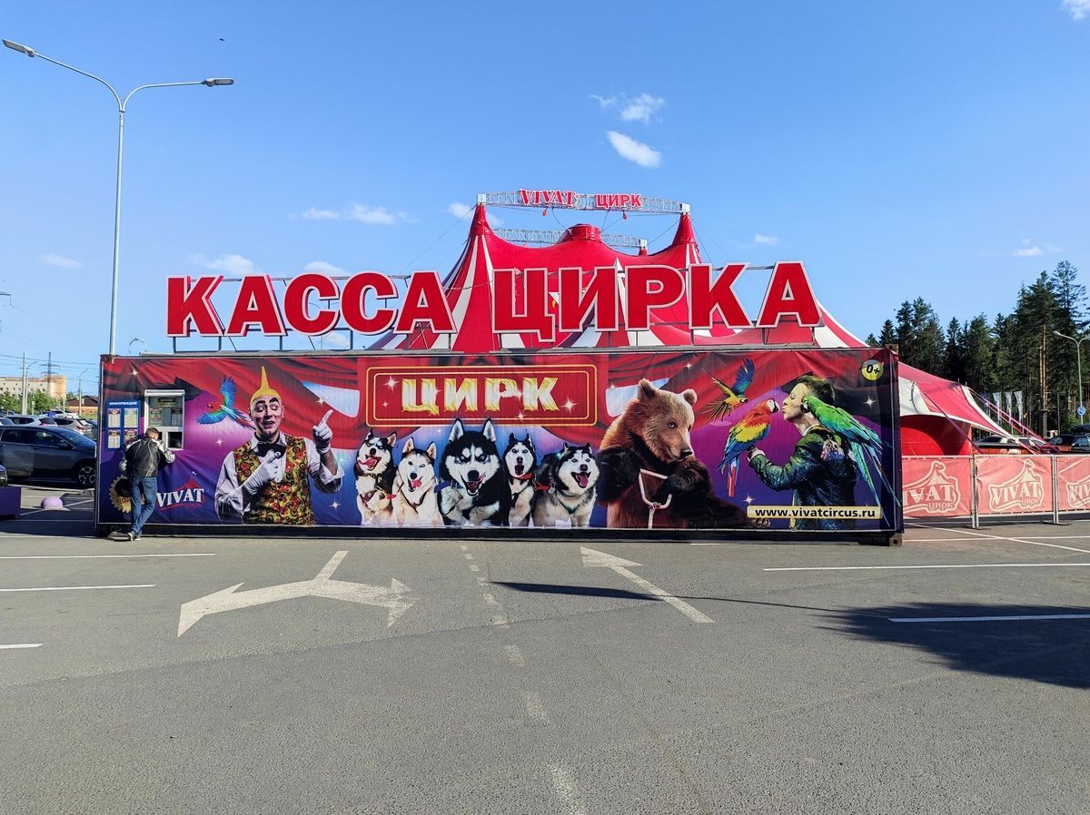 В Госдуму внесли законопроект о запрете животных в цирках