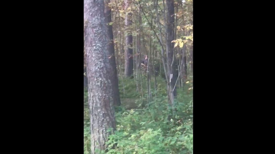 В Петрозаводске задержали эксгибициониста, который гулял в городском парке