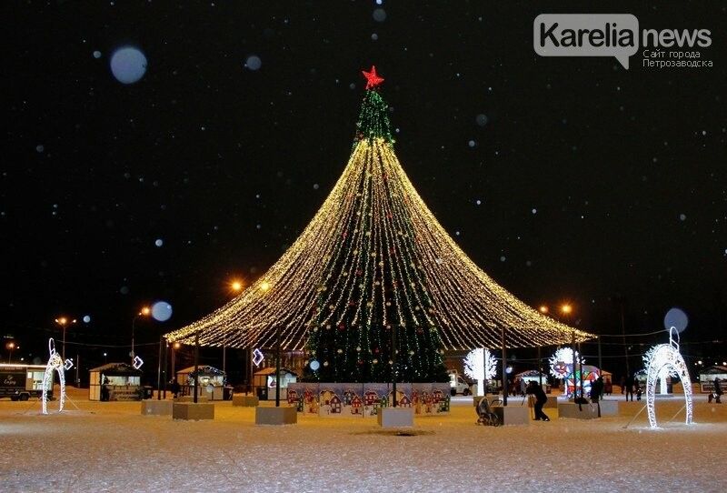 В Петрозаводске объявили аукцион на установку новогодних елей