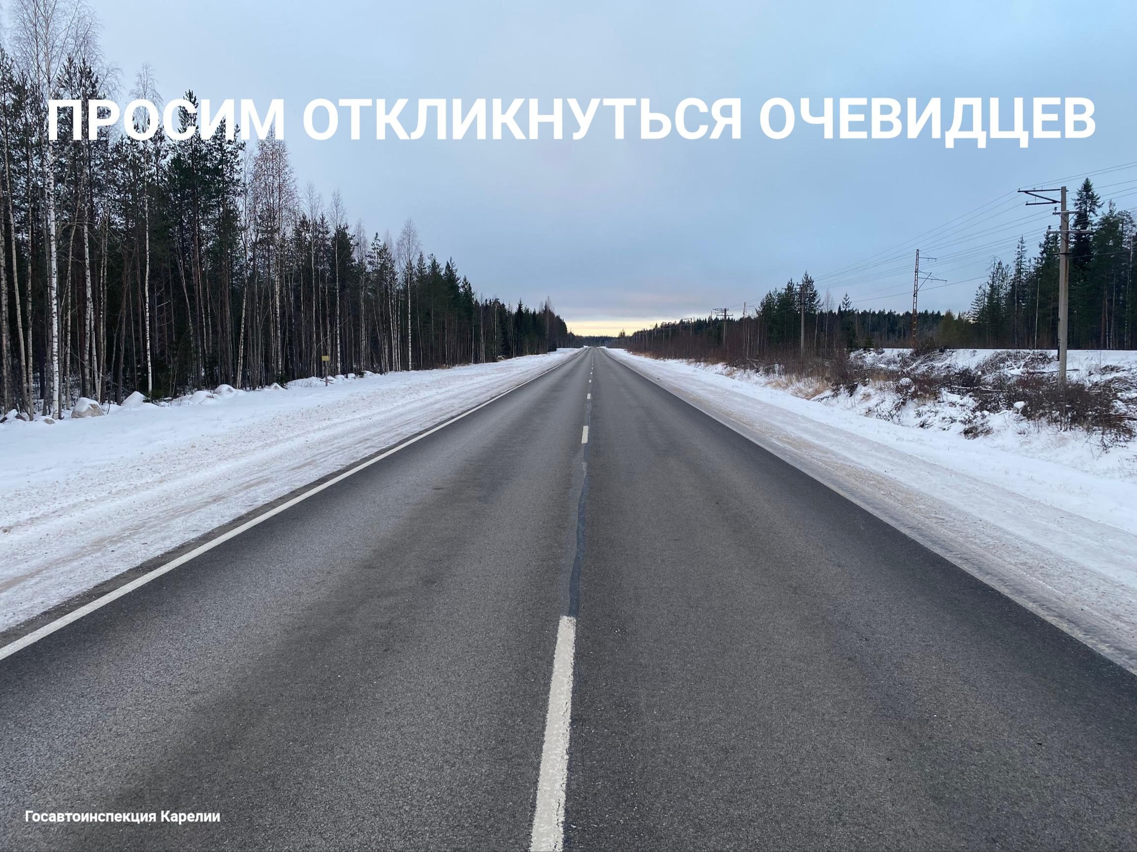 В Карелии разыскивают водителя, который сбил женщину и скрылся