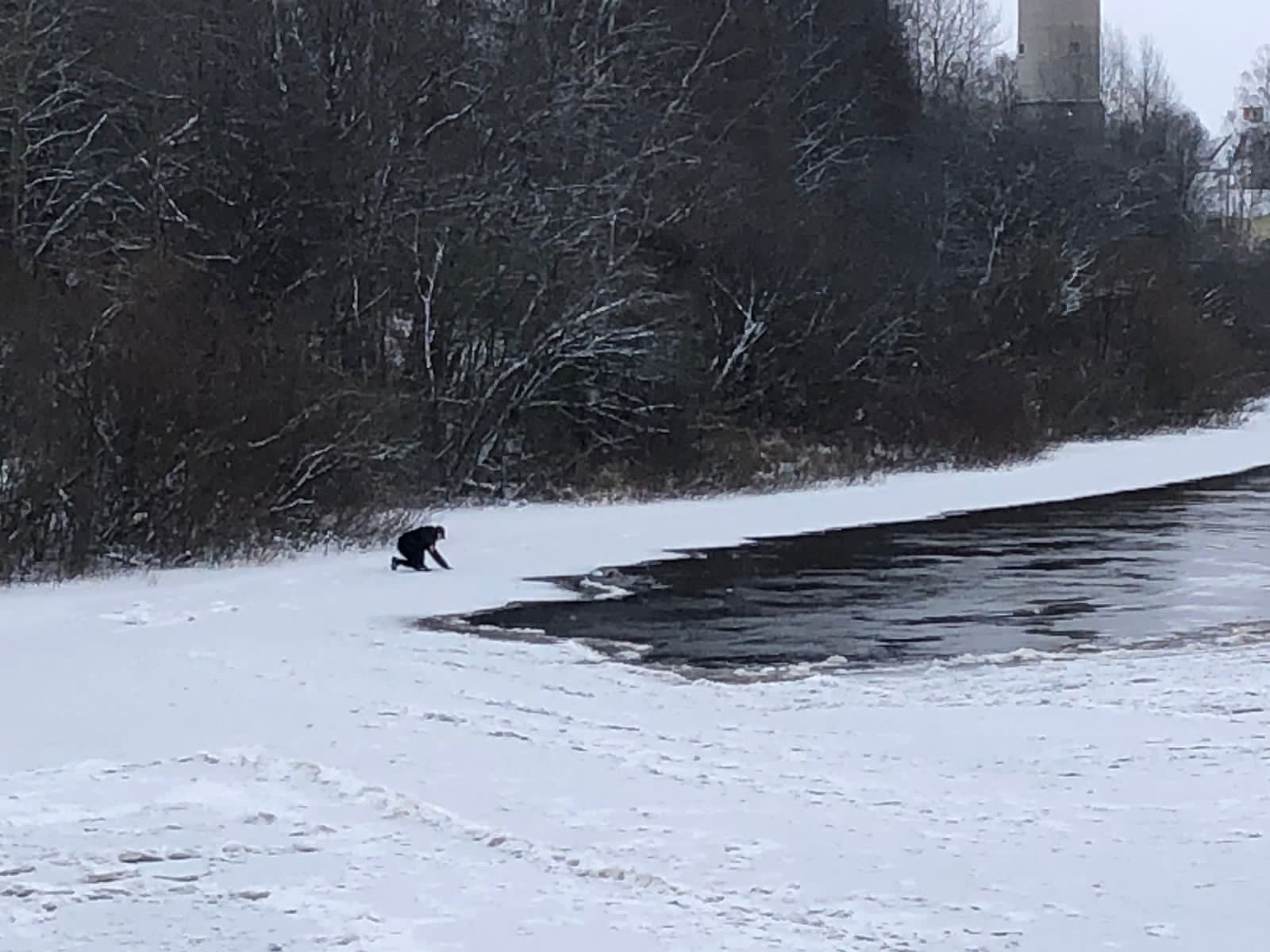 В Олонецком районе спасли тонущую собаку