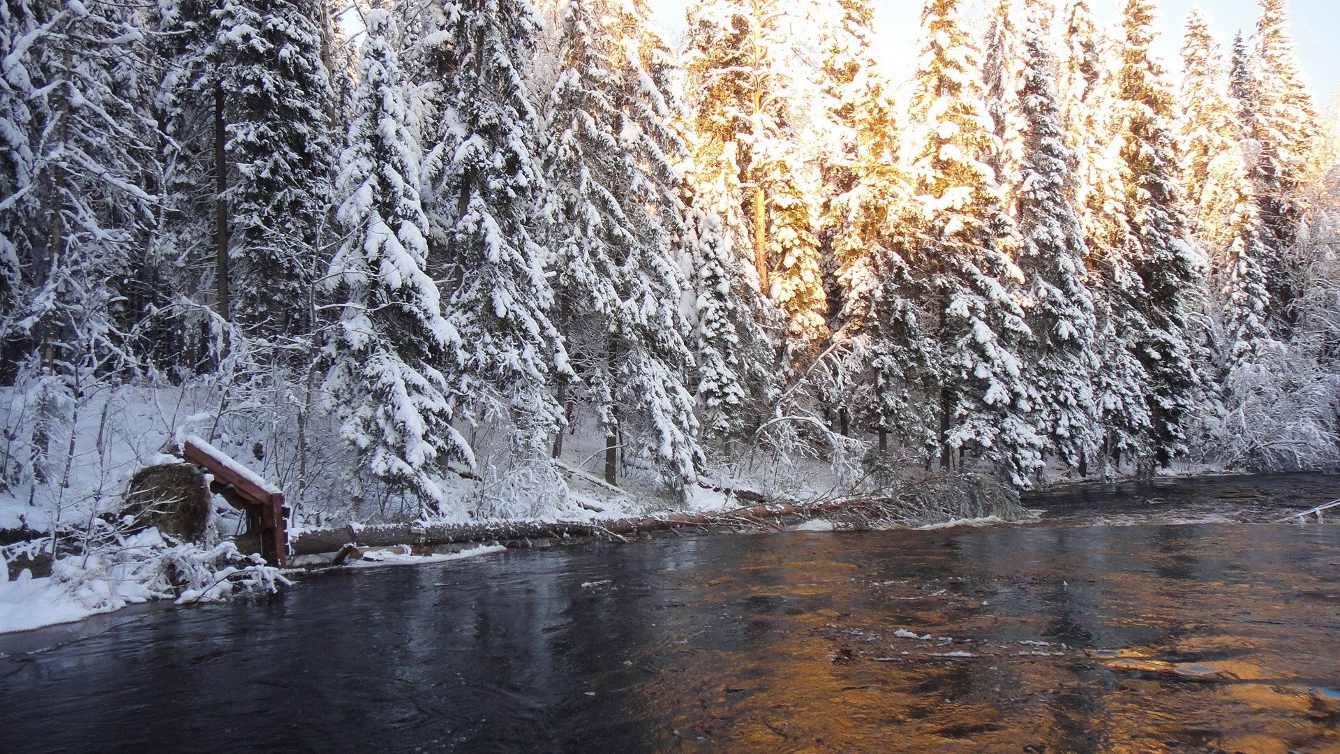 «Поцелуев мост» на трассе Фонтаны в Петрозаводске упал в реку