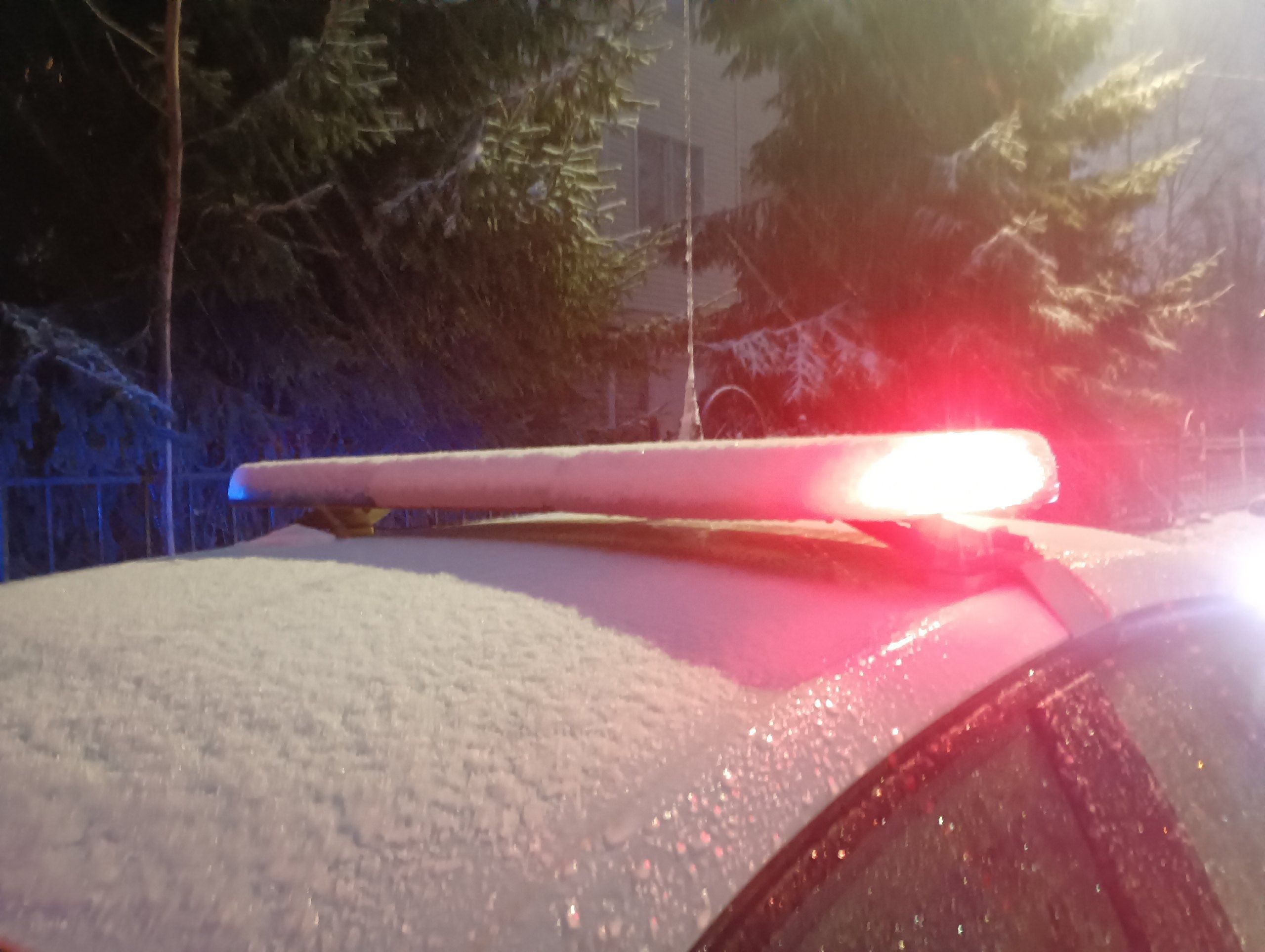 В Петрозаводске водителей ждут массовые проверки на дорогах