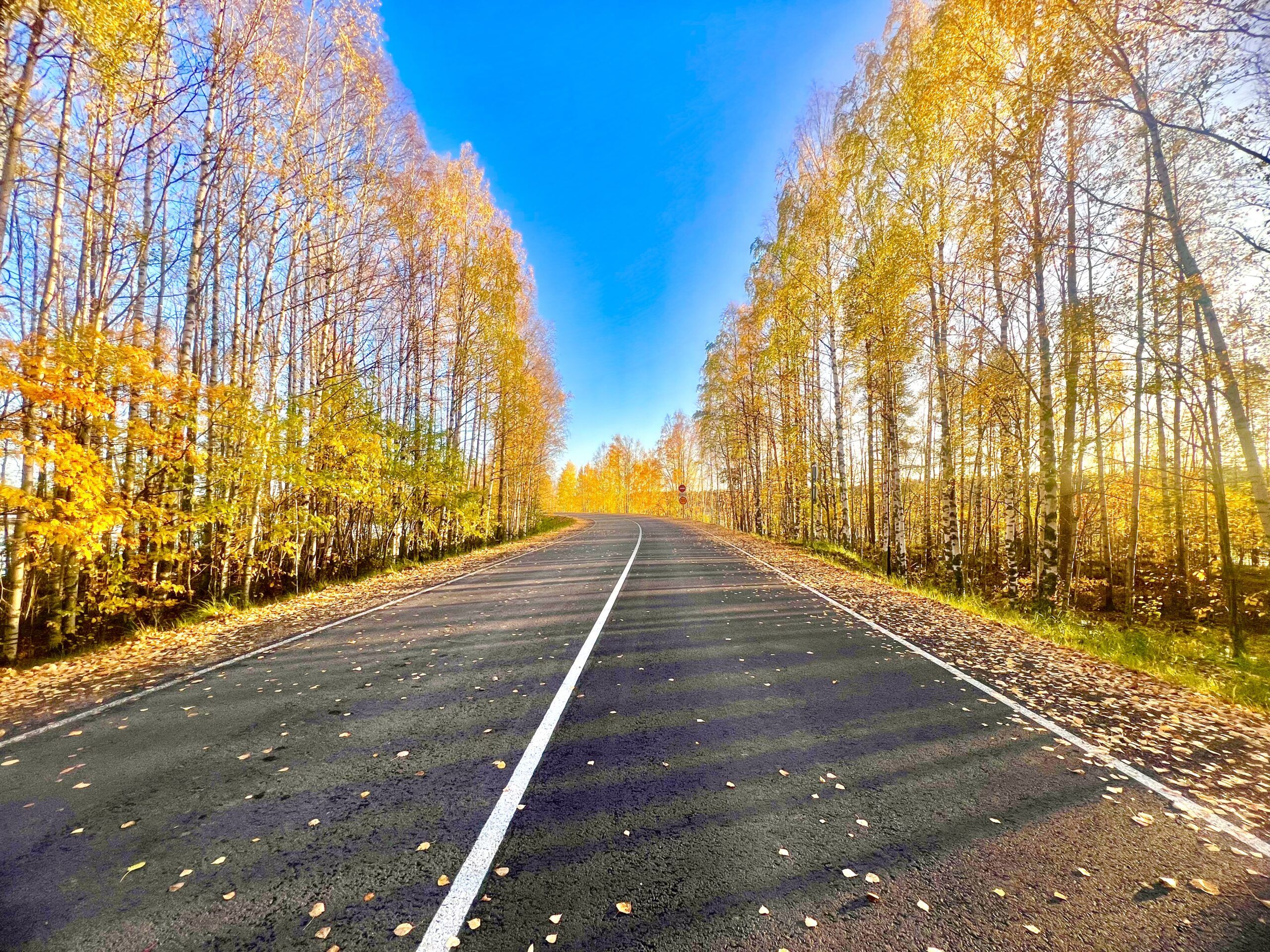 Ремонт круглый год. Как Карелия в 2023 году побила рекорд по дорожному строительству