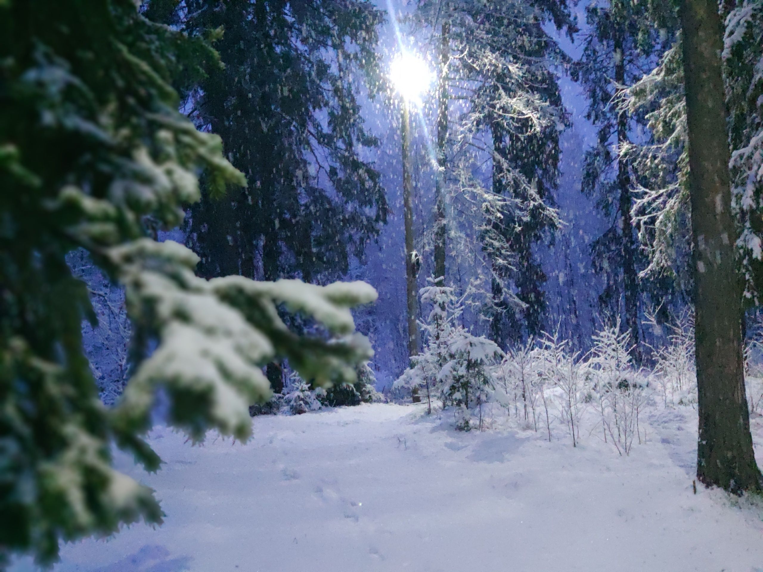 На севере до -12°С: прогноз погоды на 15 ноября