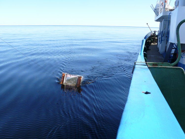 Загрязнение водоемов микропластиком и не только ученые Китая и Карелии будут изучать совместно