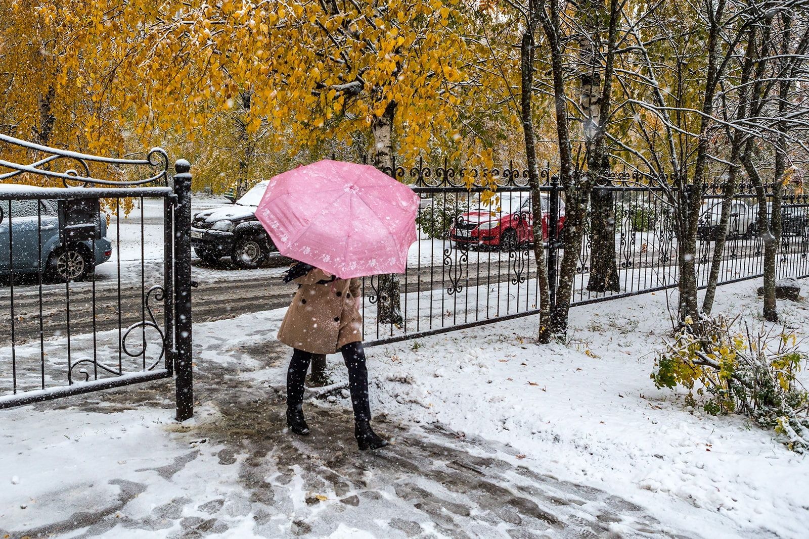 Жителей Карелии предупредили о неблагоприятном природном явлении