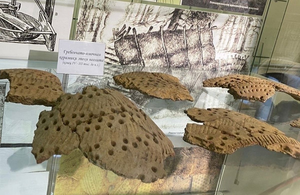 Находки «эпохи викингов» представят на выставке в музее «Кижи»