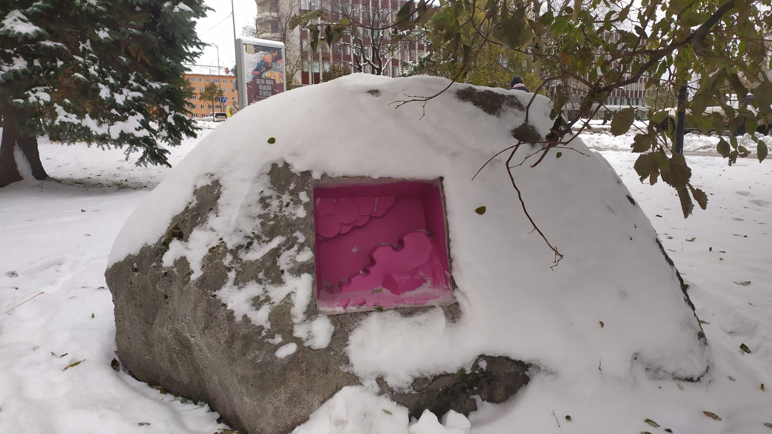 «Котопесый дом» открыли в Петрозаводске