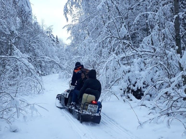 Мужчина потерялся в лесу вблизи Петрозаводска