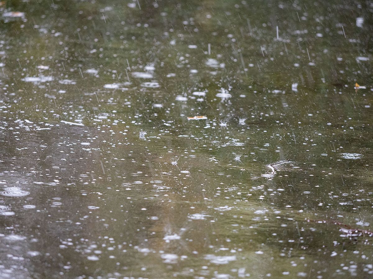 Многострадальную ливневку восстановили в центре Петрозаводска