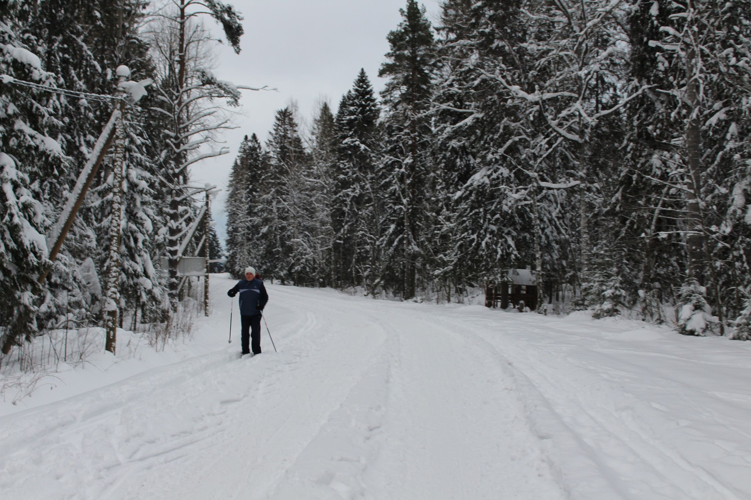 В мэрии рассказали, когда завершат благоустройство трассы «Фонтаны»