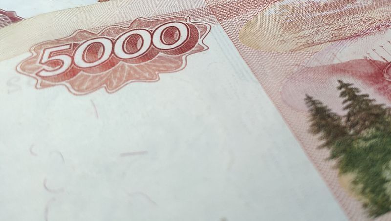 Жительница Карелии забрала все деньги из кассы на работе и больше там не появлялась