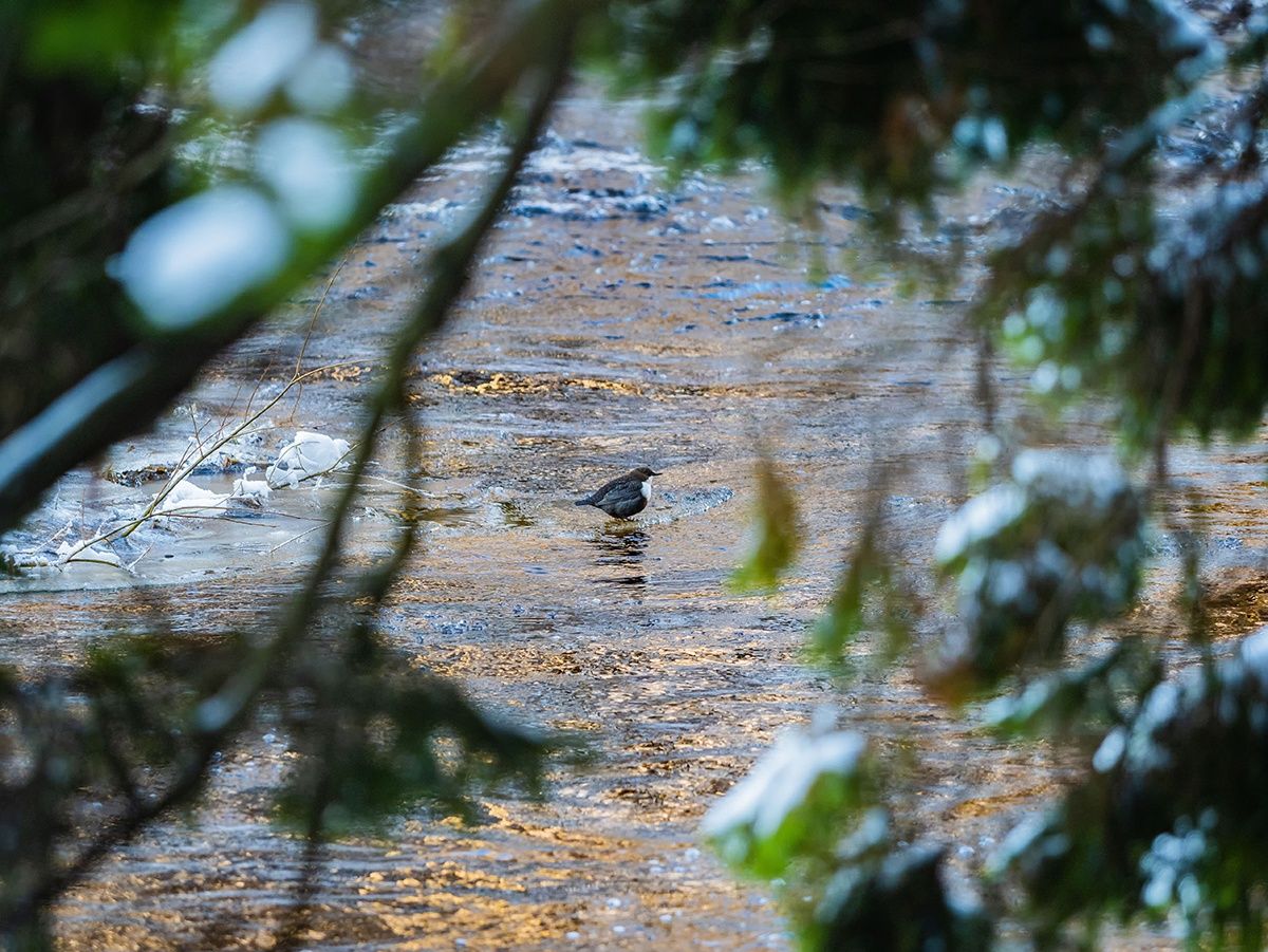 Снежно и местами до -23°С. Прогноз погоды на 25 ноября