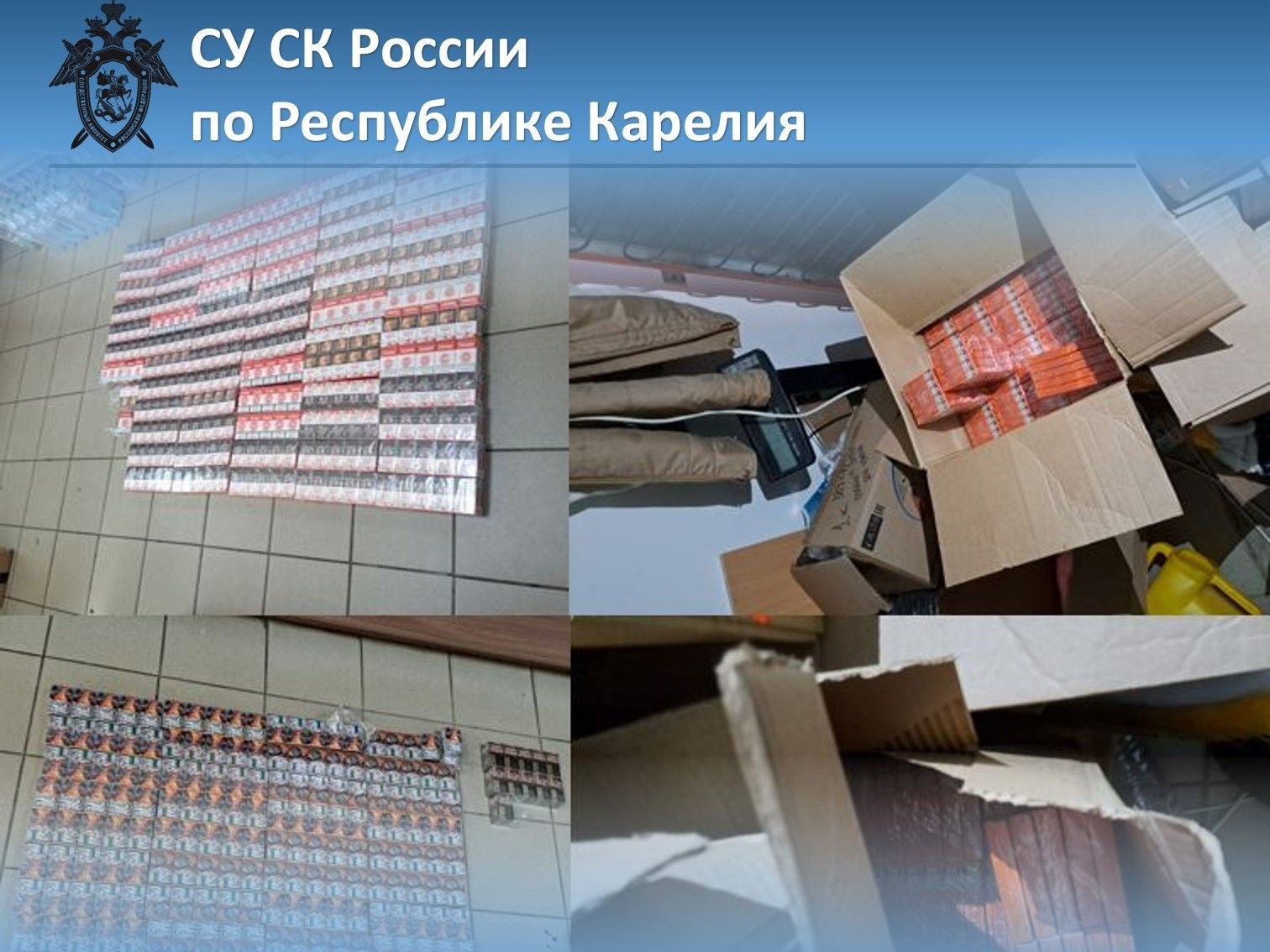 Житель Медвежьегорска наторговал контрафактом на два миллиона рублей