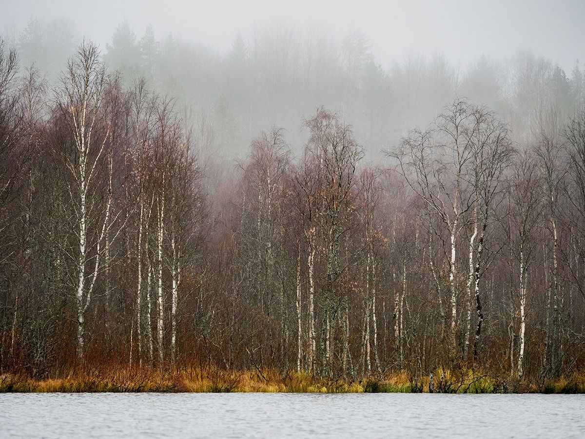 Местами туман, местами гололедица: прогноз погоды на 9 ноября