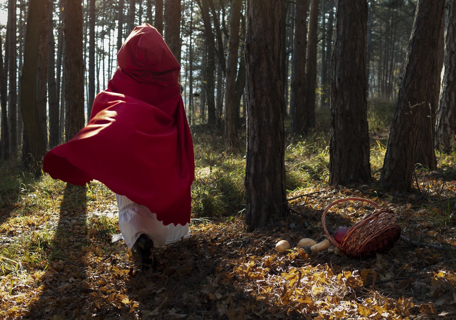 Что не сделала мама Красной Шапочки и почему ушел Колобок. Психолог Алёна Шифранец о том, почему важно читать детям сказки
