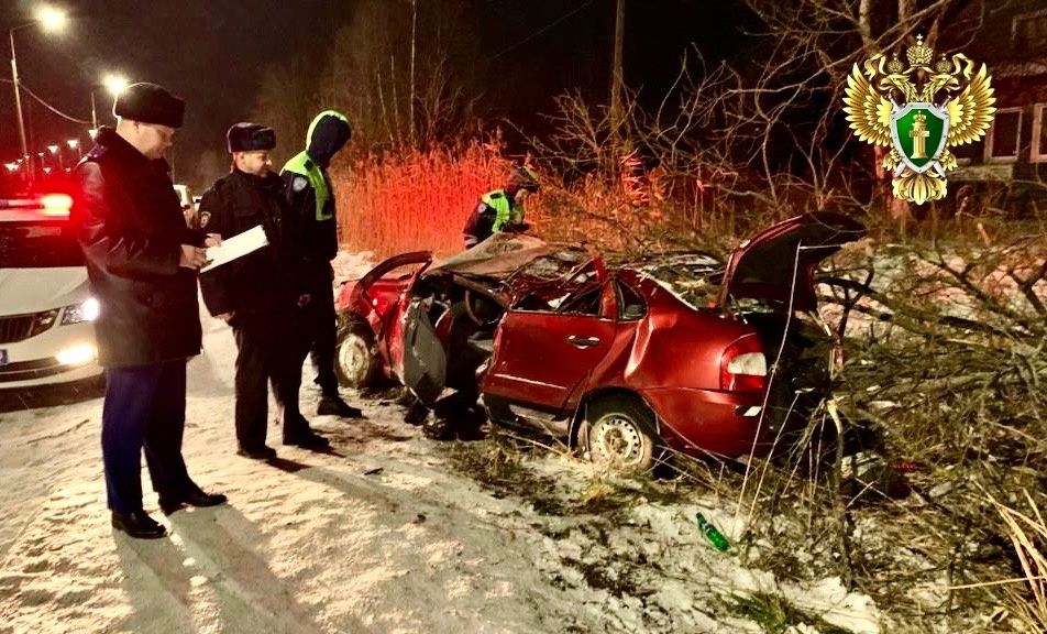 Прокуратура начала проверку после смертельного ДТП в Олонецком районе