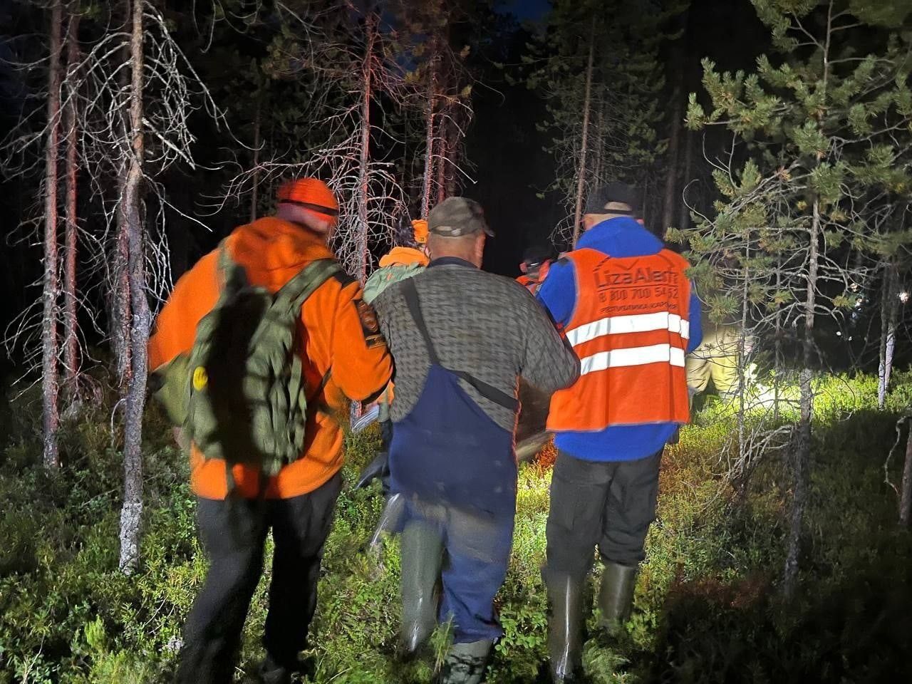 Волонтеры поисково-спасательного отряда «ЛизаАлерт» рассказали, сколько пропавших человек нашли в октябре