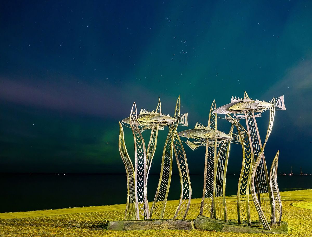 Жители Карелии наблюдали яркое северное сияние