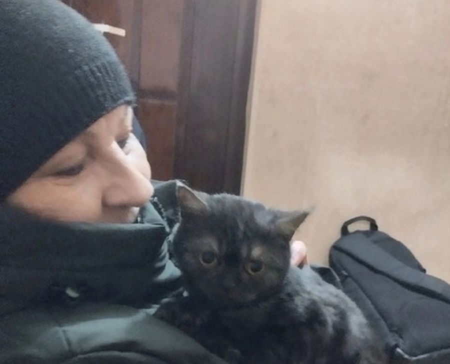 В Петрозаводске спасенный из вентиляционной шахты котенок нашел дом