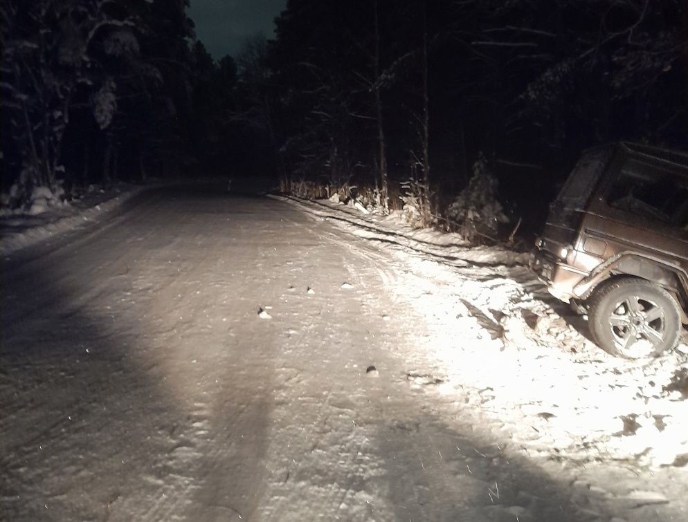 В Петрозаводске водитель врезался в дерево и сбежал