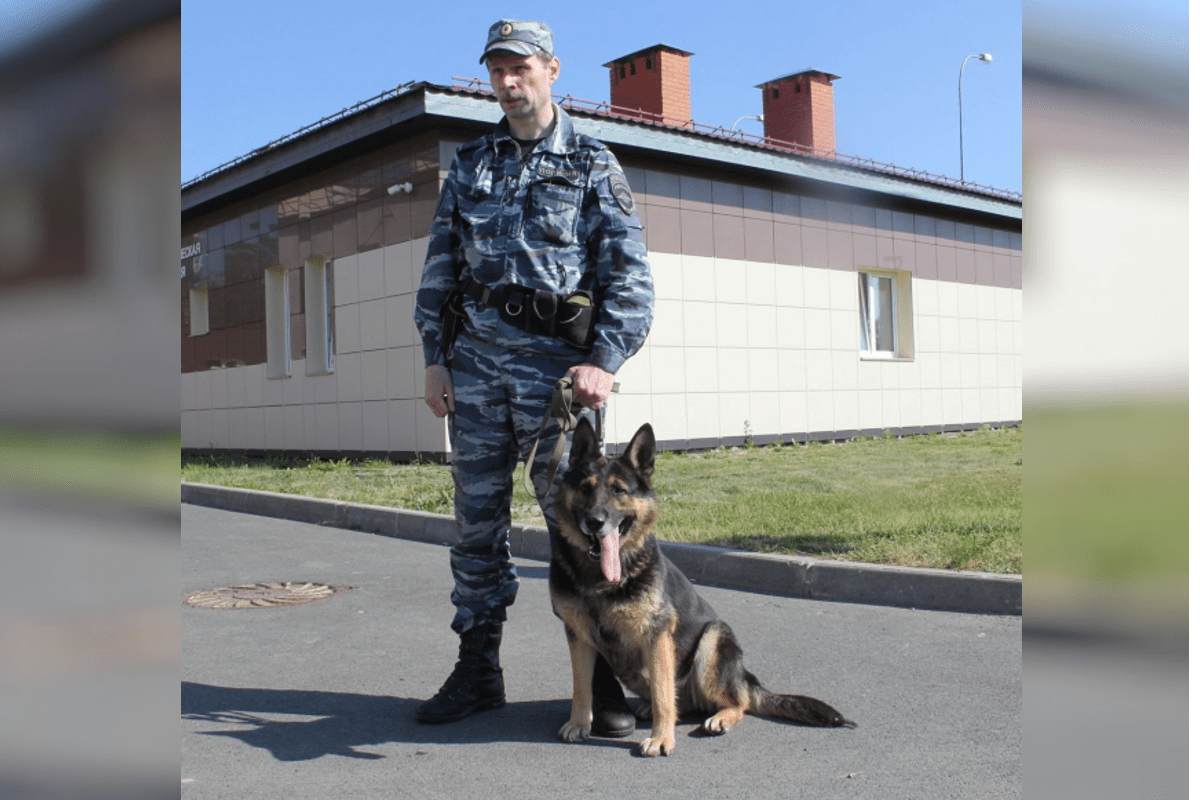 Дело об убийстве в Петрозаводске, которое помогла раскрыть собака, передано в суд