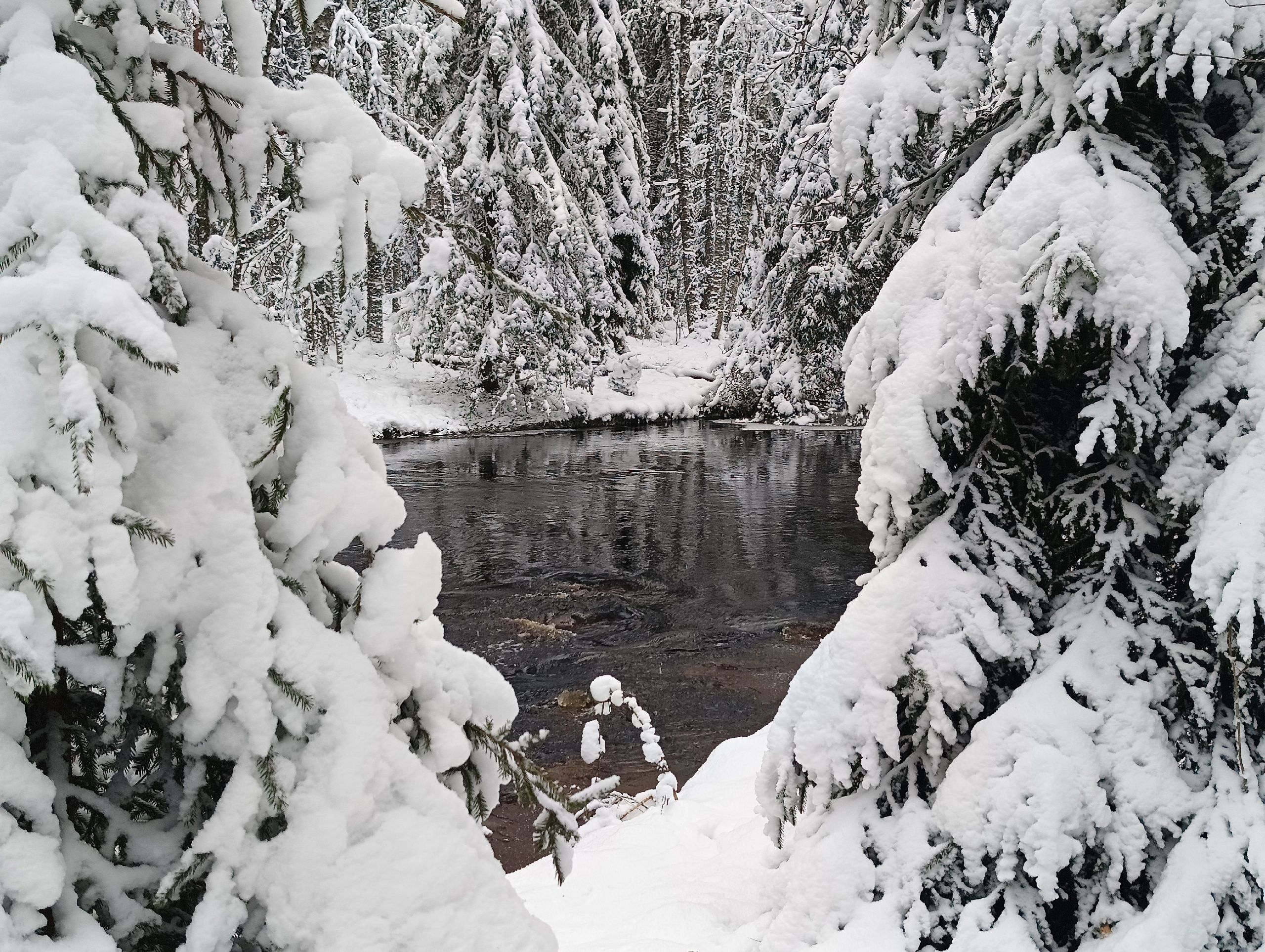 Местами до минус 18. Прогноз погоды в Карелии на 21 ноября
