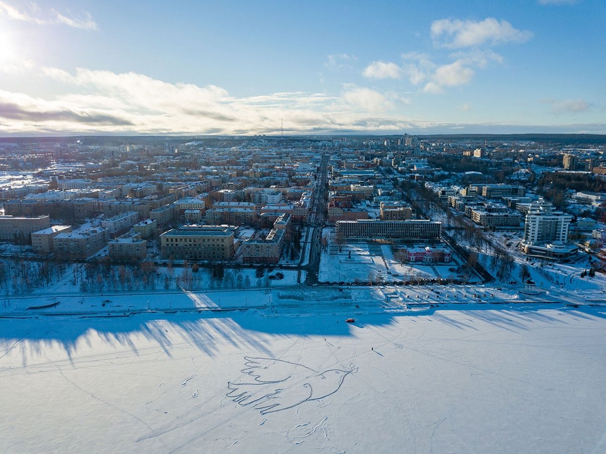 Голубка, ураган и кровавые сосульки. Главные фото 2023 года в Петрозаводске по версии портала «Карелия.Ньюс»