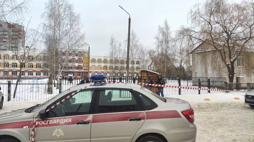 Спикер Госдумы Вячеслав Володин поручил закрепить в законе определение «травля»