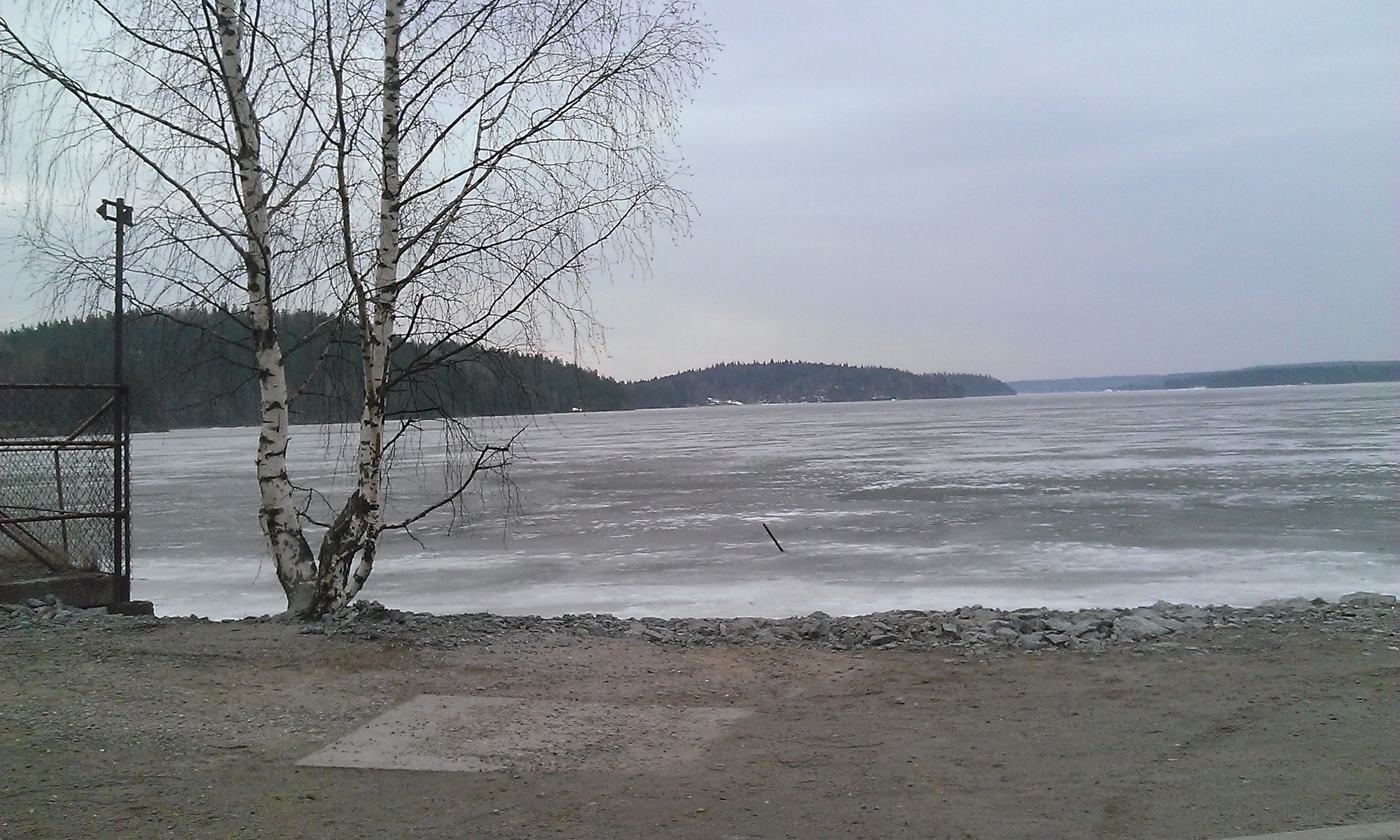 Пожарные вытащили из воды собаку в Приладожье