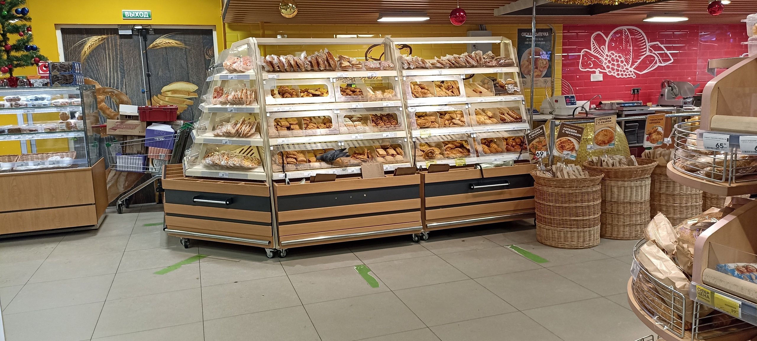 В Петрозаводске голуби пообедали выпечкой в продуктовом магазине