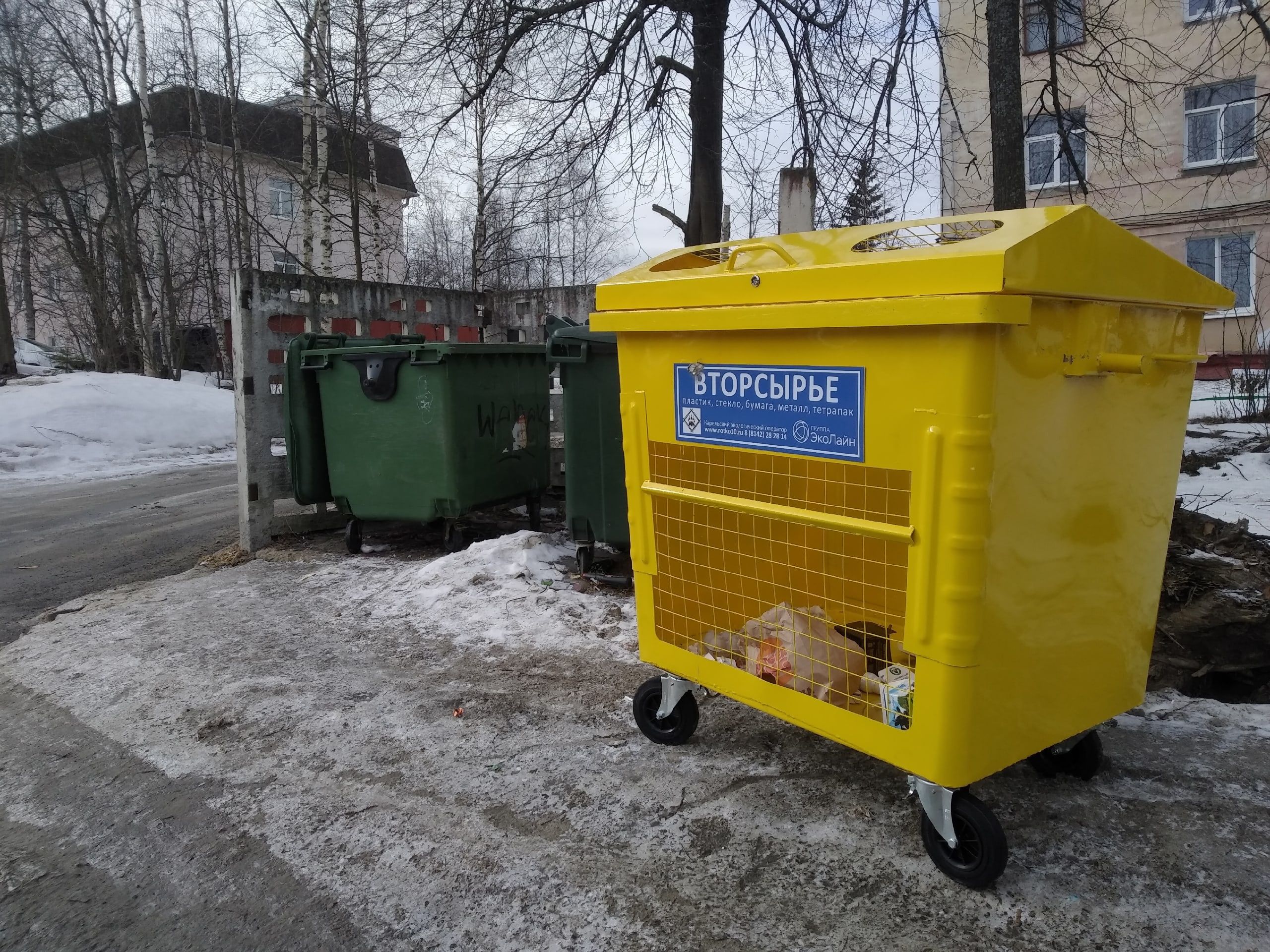 Половина жителей Карелии может разделять отходы